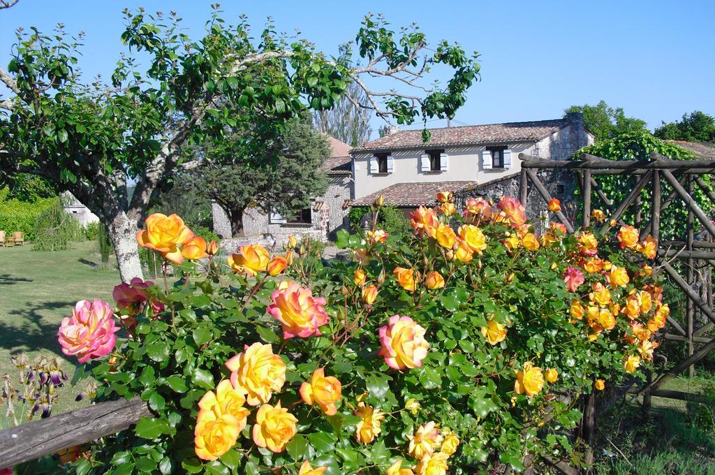 Luxury B&B Maison à votre Santé, in Bordeaux wine region Savignac-de-Duras Exterior foto